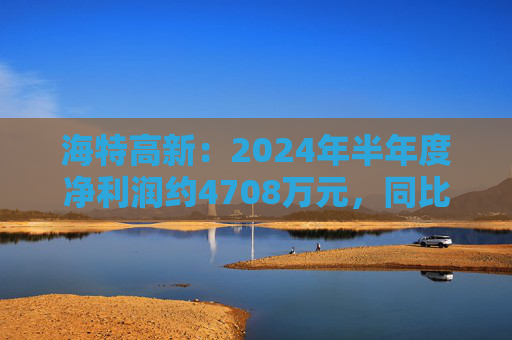 海特高新：2024年半年度净利润约4708万元，同比增加64.73%