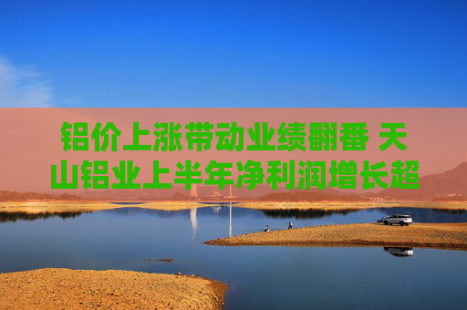 铝价上涨带动业绩翻番 天山铝业上半年净利润增长超103%