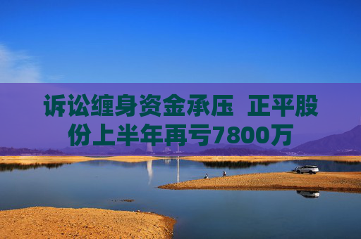 诉讼缠身资金承压  正平股份上半年再亏7800万