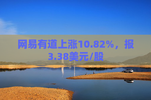 网易有道上涨10.82%，报3.38美元/股