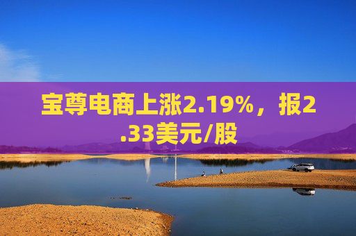 宝尊电商上涨2.19%，报2.33美元/股