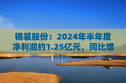 锡装股份：2024年半年度净利润约1.25亿元，同比增加23.33%