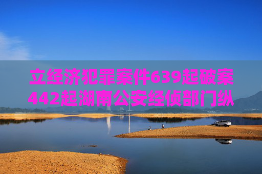 立经济犯罪案件639起破案442起湖南公安经侦部门纵深推进夏季治安打击整治行动