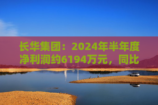 长华集团：2024年半年度净利润约6194万元，同比增加158.02%