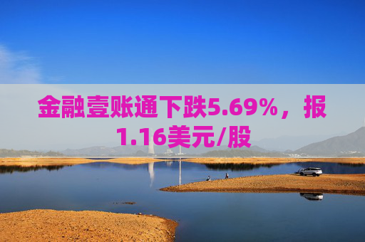 金融壹账通下跌5.69%，报1.16美元/股