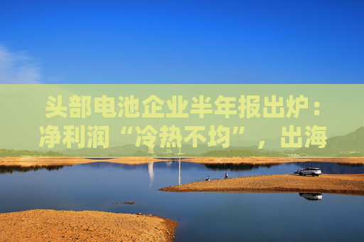 头部电池企业半年报出炉：净利润“冷热不均”，出海、储能业务成为布局重点