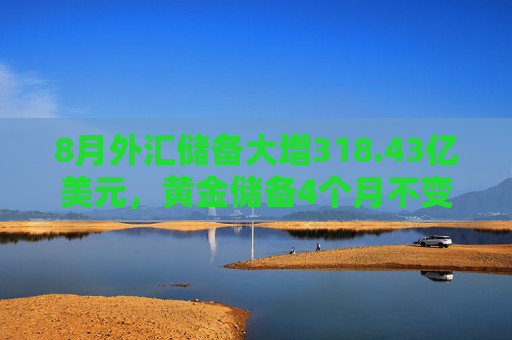 8月外汇储备大增318.43亿美元，黄金储备4个月不变