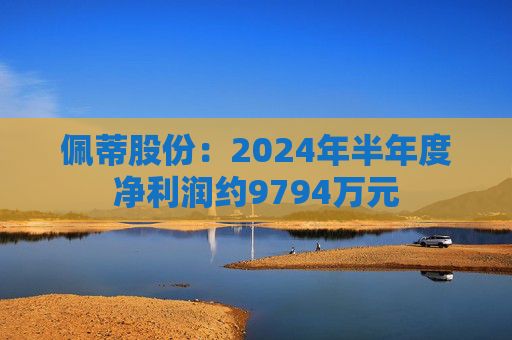 佩蒂股份：2024年半年度净利润约9794万元