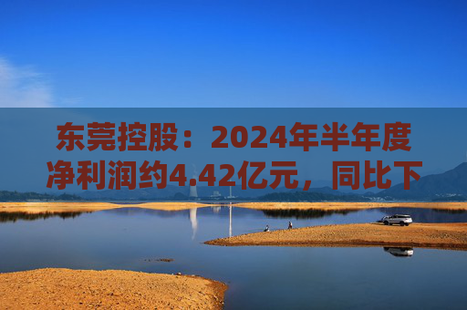 东莞控股：2024年半年度净利润约4.42亿元，同比下降4.95%