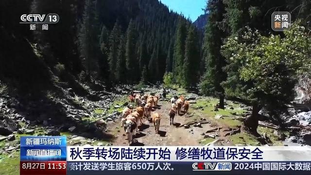 新疆多地陆续进入秋季转场高峰期 “护牧小分队”全程护航